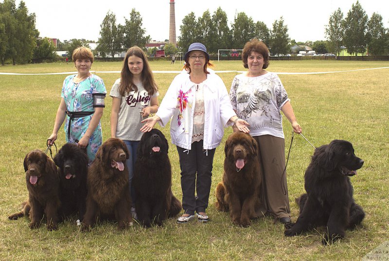 Фотография № 187386