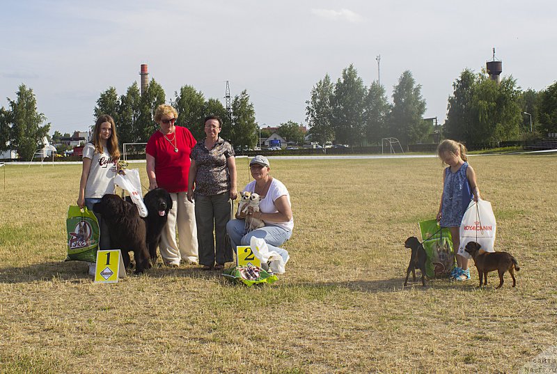 Фотография № 187388