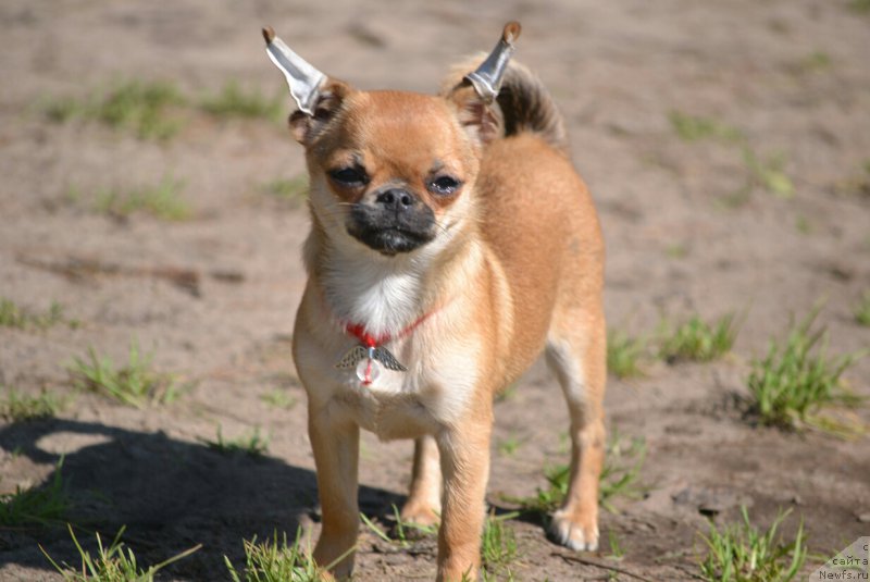 Фотография № 187395