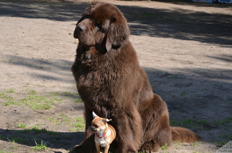 Фотография № 187396