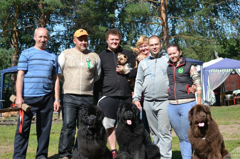 Фото: Aleksey Votchal (Алексей Вотчал), Aleksey Nistratov (Алексей Нистратов), YEl'vira Sumina (Эльвира Сумина), Tat'yana Rozanova (Татьяна Розанова), ньюфаундленд Aquatoriya Kelvin Sharliz (Акватория Келвин Шарлиз), ньюфаундленд Ih Vyisochestvo Vladlena Madjiks (Их Высочество Владлена Маджикс), ньюфаундленд Chernyi Sharm Angel'skaya Krasota (Черный Шарм Ангельская Красота)