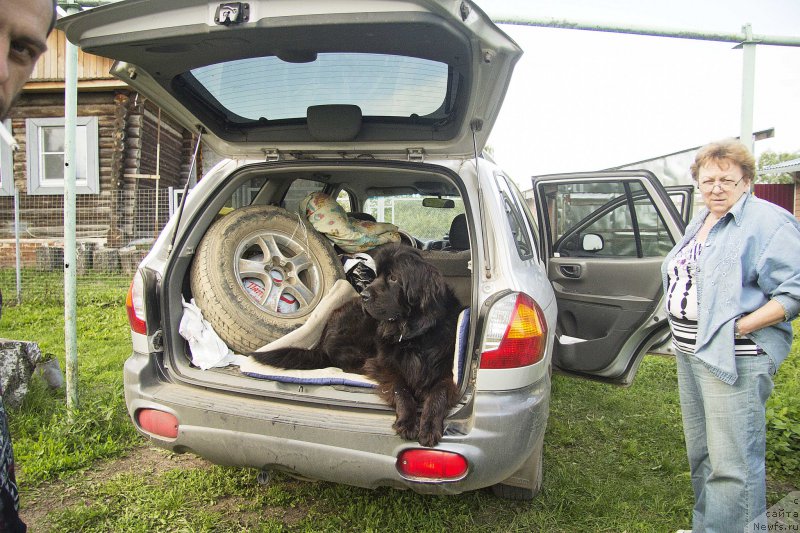 Фотография № 187404