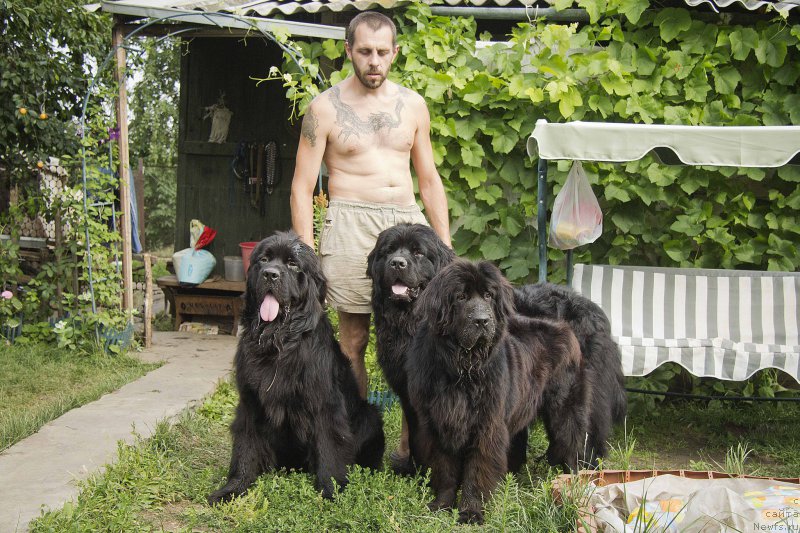 Фотография № 187411