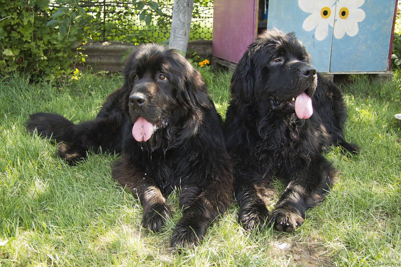 Фотография № 187418