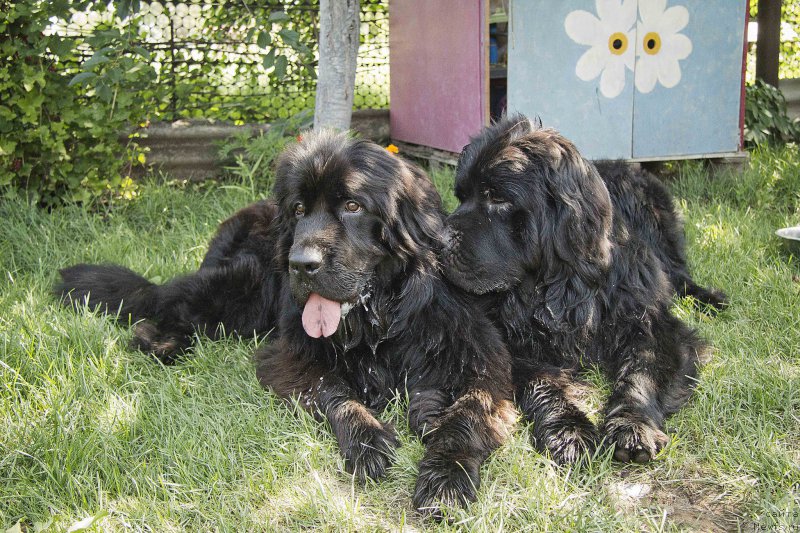 Фотография № 187420