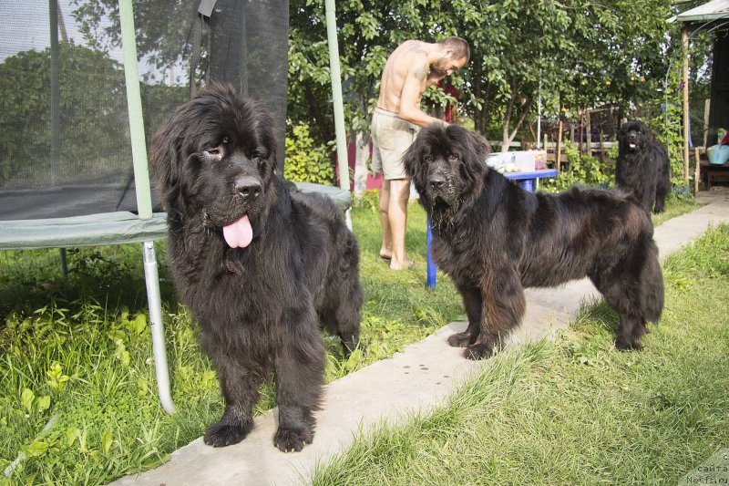 Фотография № 187424