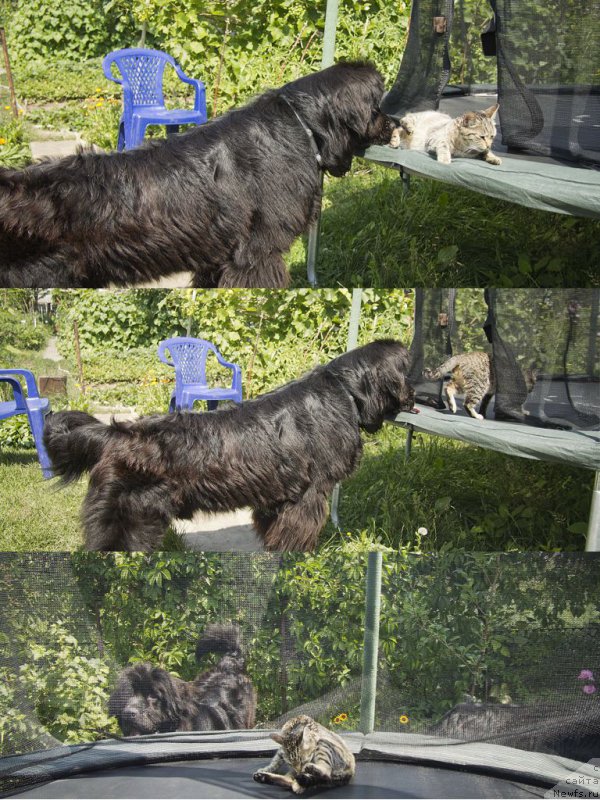 Фотография № 187430