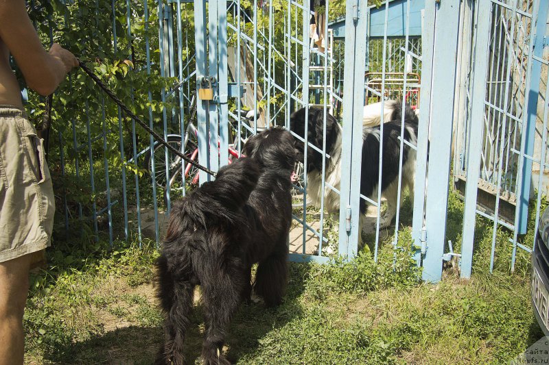 Фотография № 187431