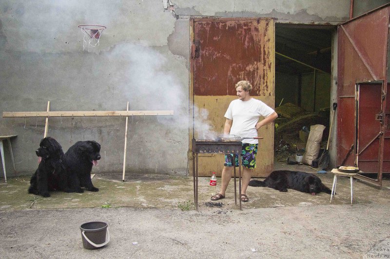 Фотография № 187449