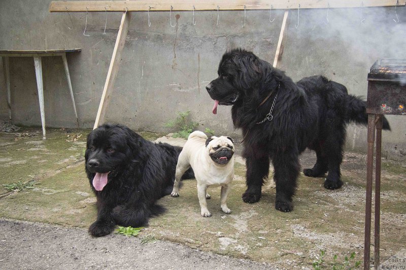 Фотография № 187455