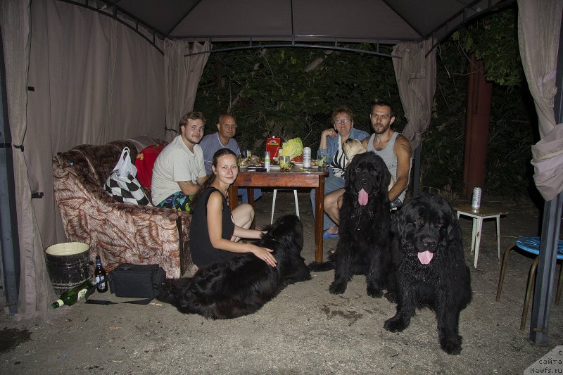 Фотография № 187456