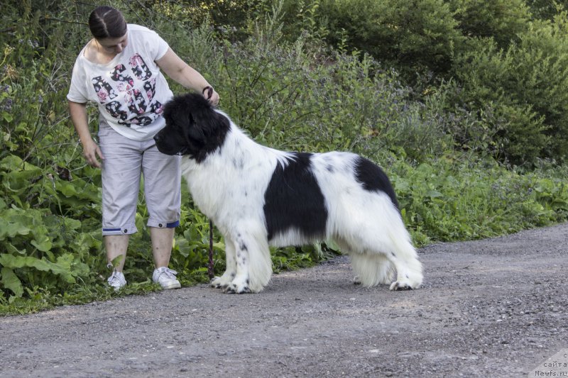 Фотография № 187475