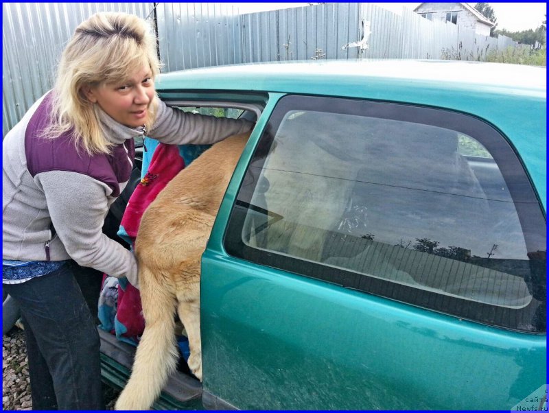 Фото: Lena Zyirina (Лена Зырина), ФРАНКО