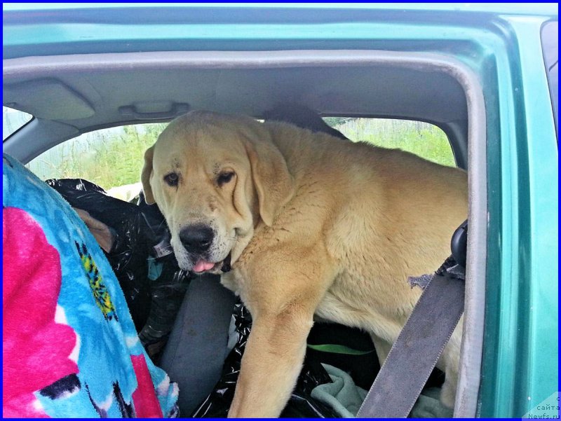 Фото: Lena Zyirina (Лена Зырина), ФРАНКО