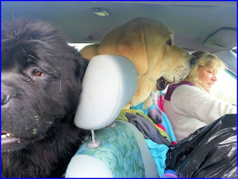 Фотография № 187530