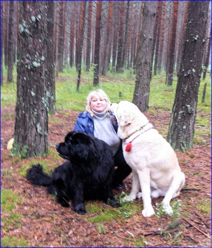 Фотография № 187533