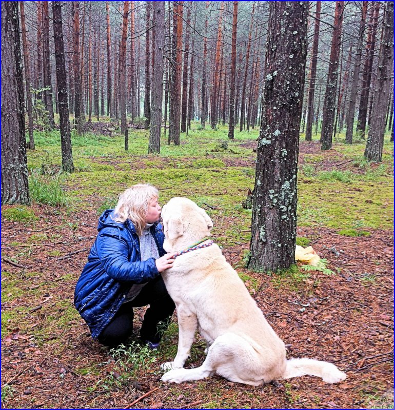 Фото: Elena Votchal (Елена Вотчал), Lena Zyirina (Лена Зырина), ФРАНКО