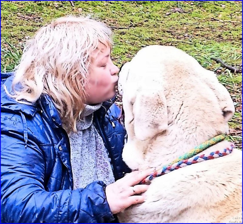 Фотография № 187537