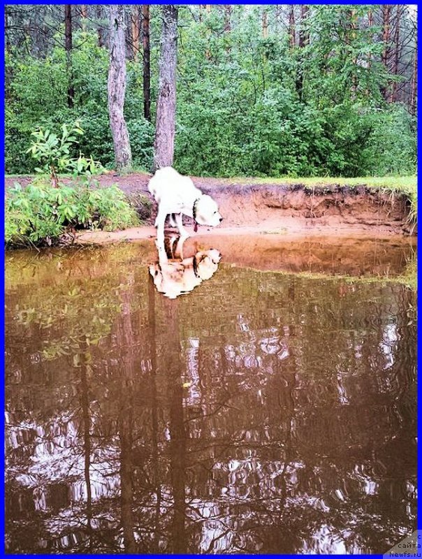 Фотография № 187541