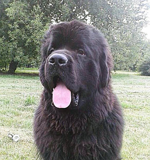 Фотография № 187605