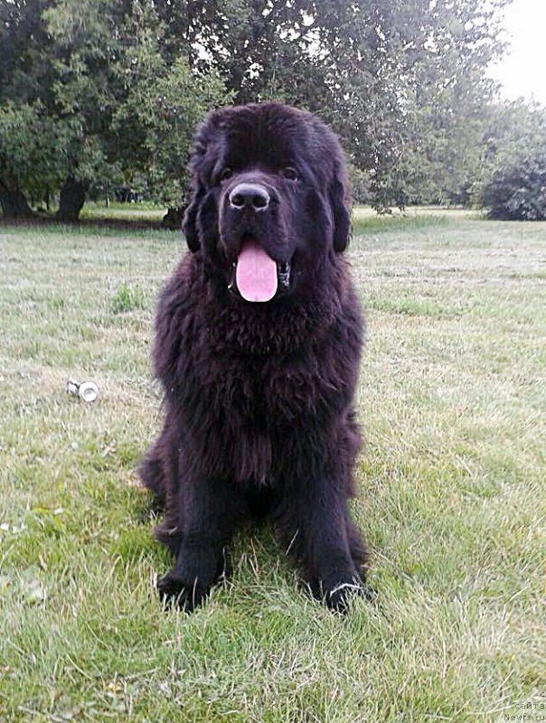 Фотография № 187606