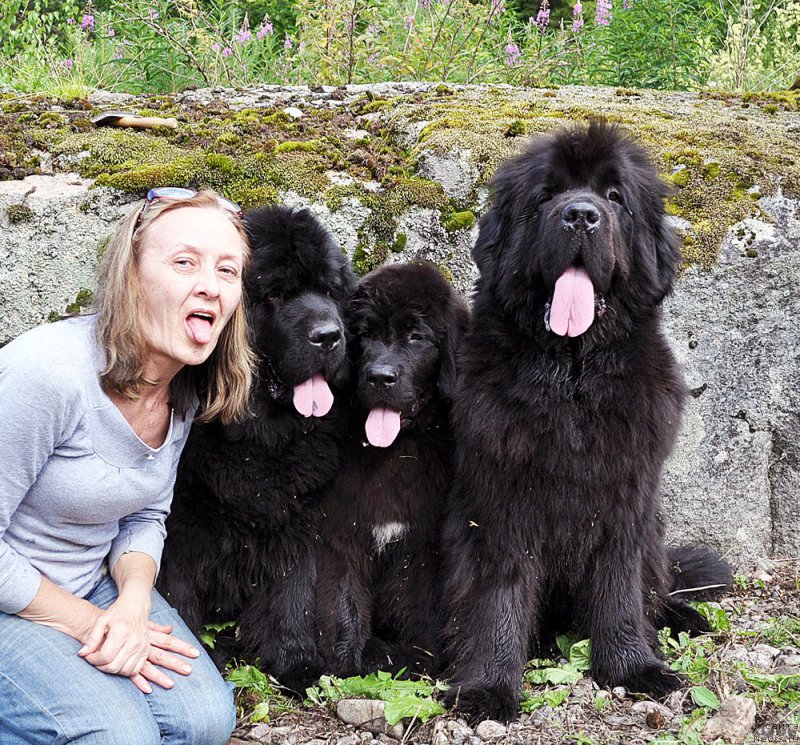 Фотография № 187608