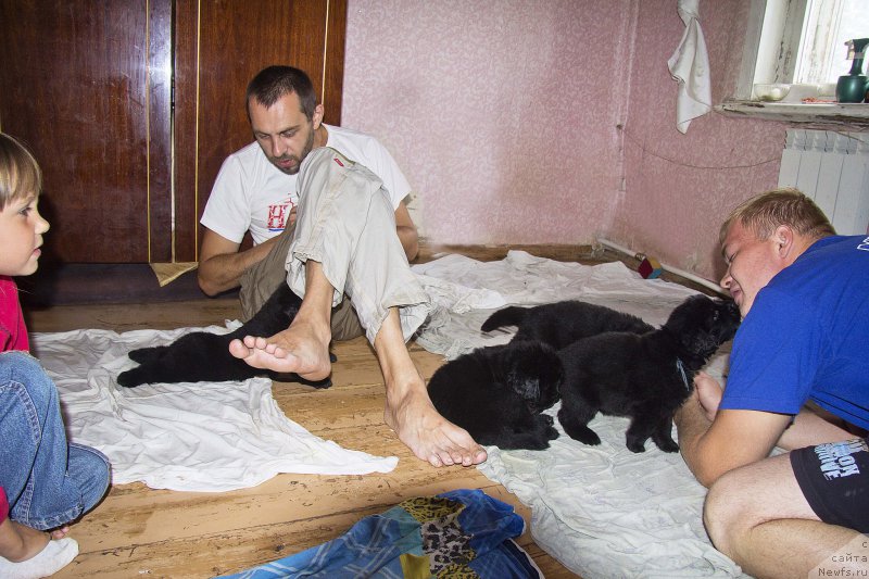 Фото: Andrey Volkov (Андрей Волков), Aleksandr CHernyavskiy (Александр Чернявский)