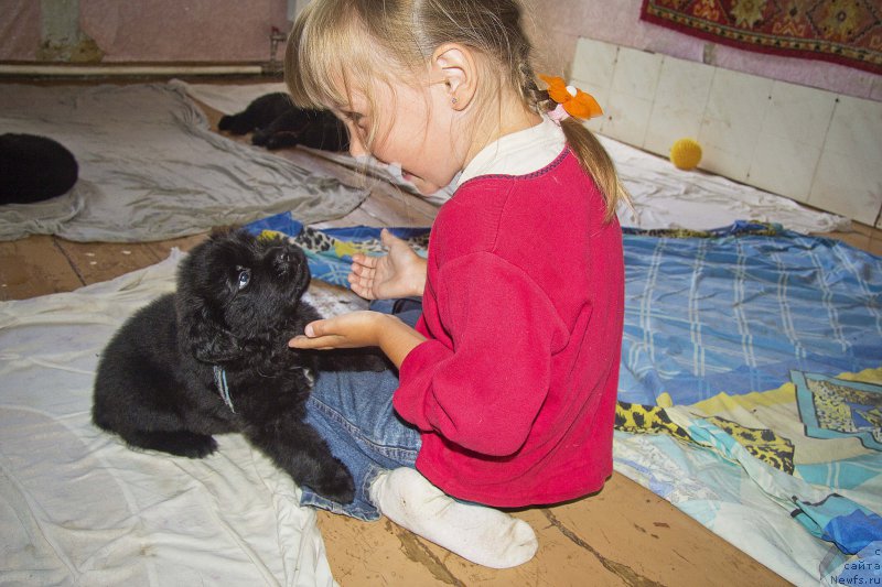 Фотография № 187610