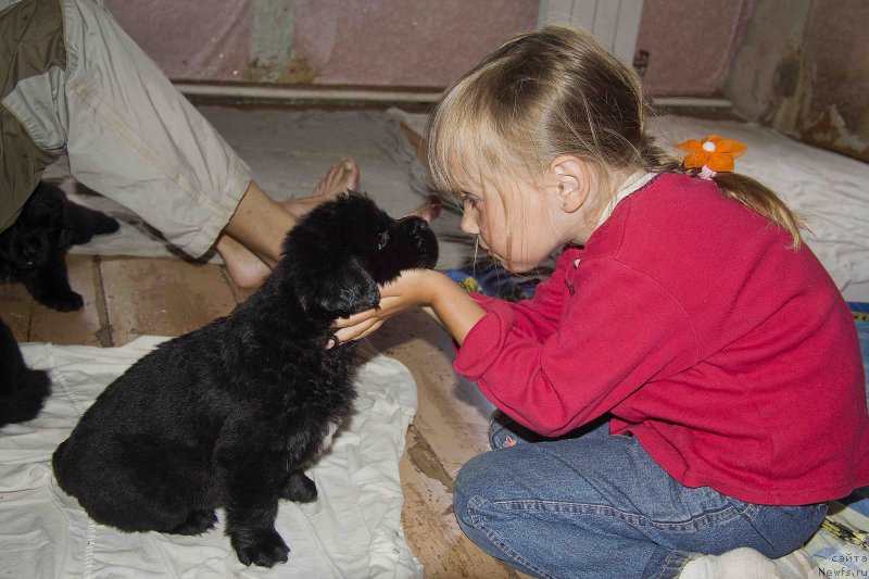 Фотография № 187611