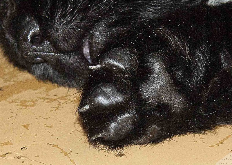 Фотография № 187612