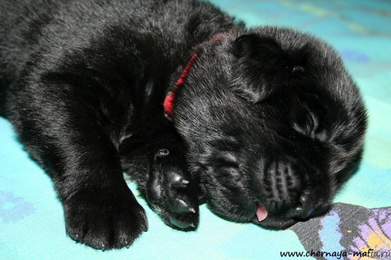 Фотография № 187648