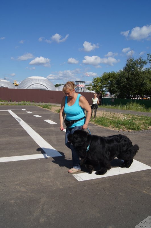 Фотография № 187652