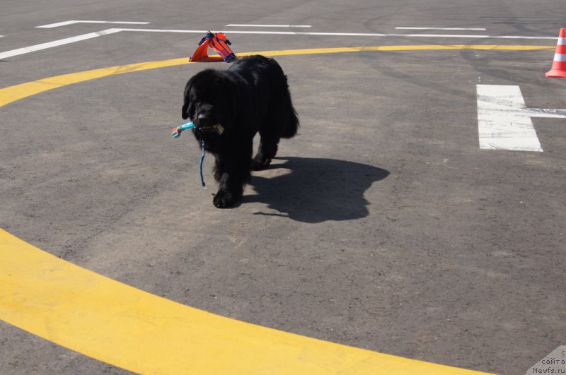 Фотография № 187657