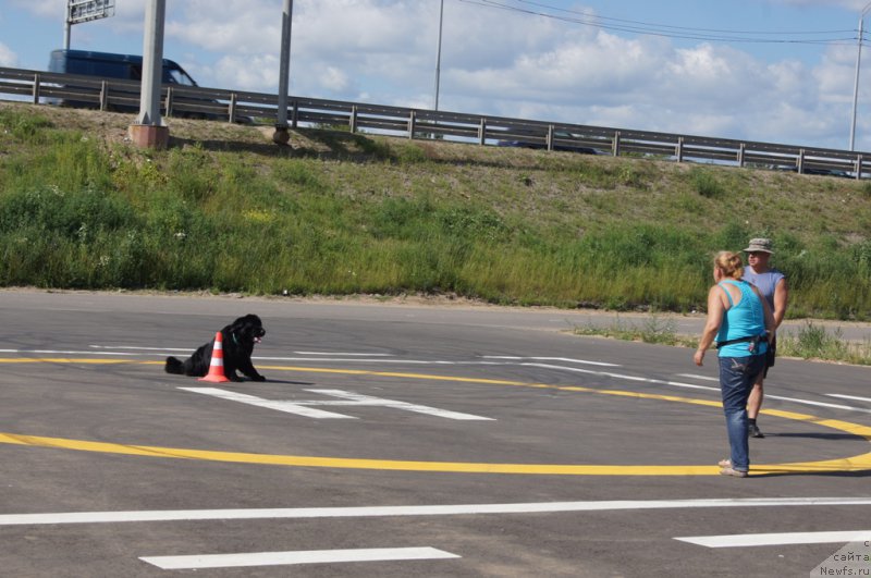 Фотография № 187659