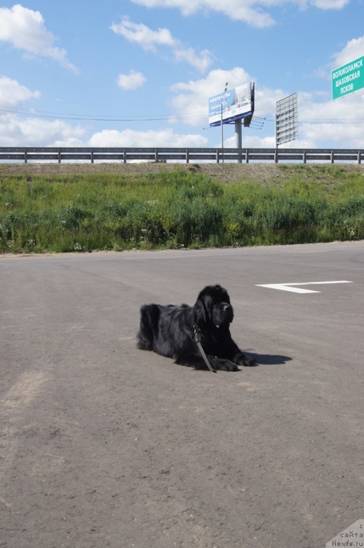 Фотография № 187660