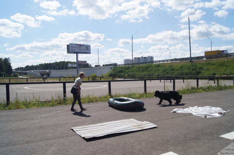 Фотография № 187661