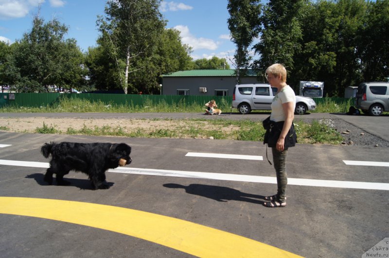 Фотография № 187664