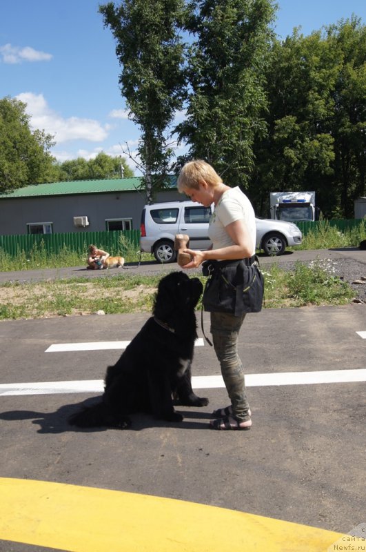 Фотография № 187665