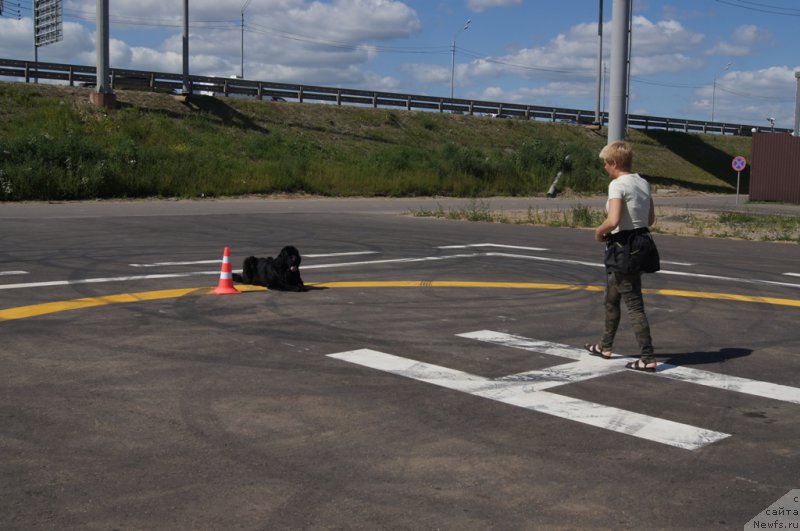 Фотография № 187666