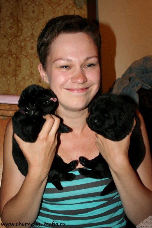 Фото: ньюфаундленд Chernaya Mafia А Kind of Magic (Черная Мафия А Кинд оф Магик), ньюфаундленд Chernaya Mafia Аngel Among Us (Черная Мафия Ангел Амонг Ус), Ol'ga Soboleva (Ольга Соболева)