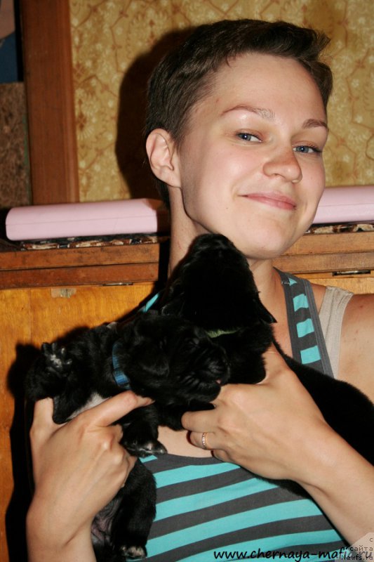 Фото: ньюфаундленд Chernaya Mafia Аlluring Prospect (Черная Мафия Аллуринг Проспект), ньюфаундленд Chernaya Mafia Attractive Power (Черная Мафия Аттрактиве Повер), Ol'ga Soboleva (Ольга Соболева)