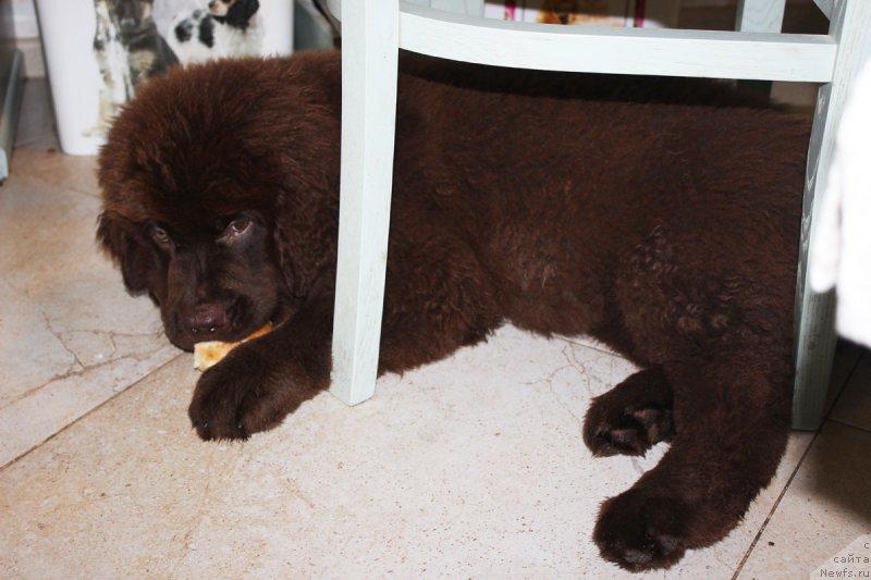 Фотография № 187675