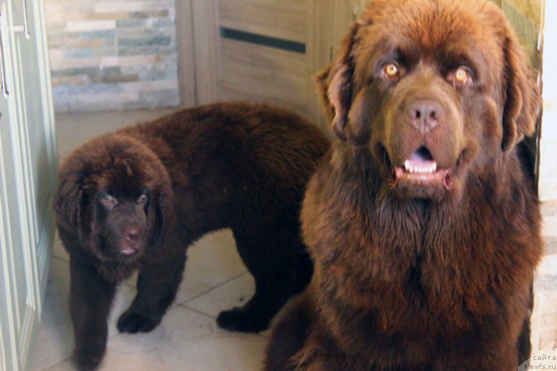 Фотография № 187676