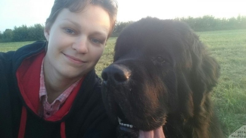 Фото: ньюфаундленд Chernaya Mafia Shrodinger Theory (Черная Мафия Шродингер Тхеору), Ol'ga Soboleva (Ольга Соболева)