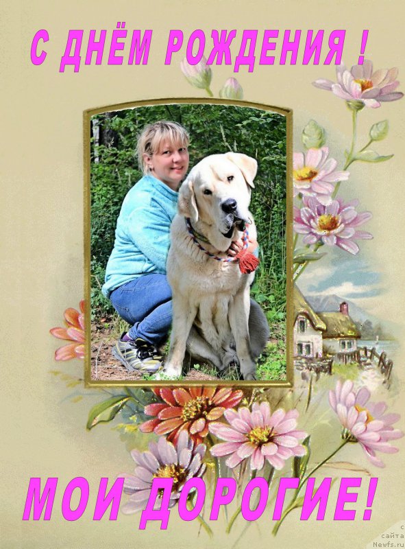 Фотография № 187683