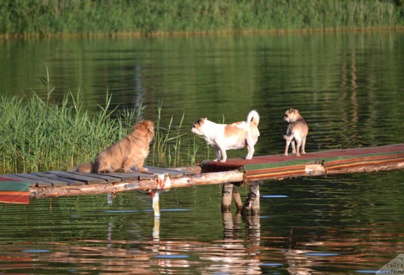 Фотография № 187685