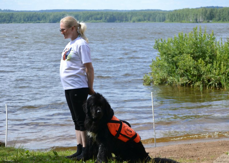 Фотография № 187686