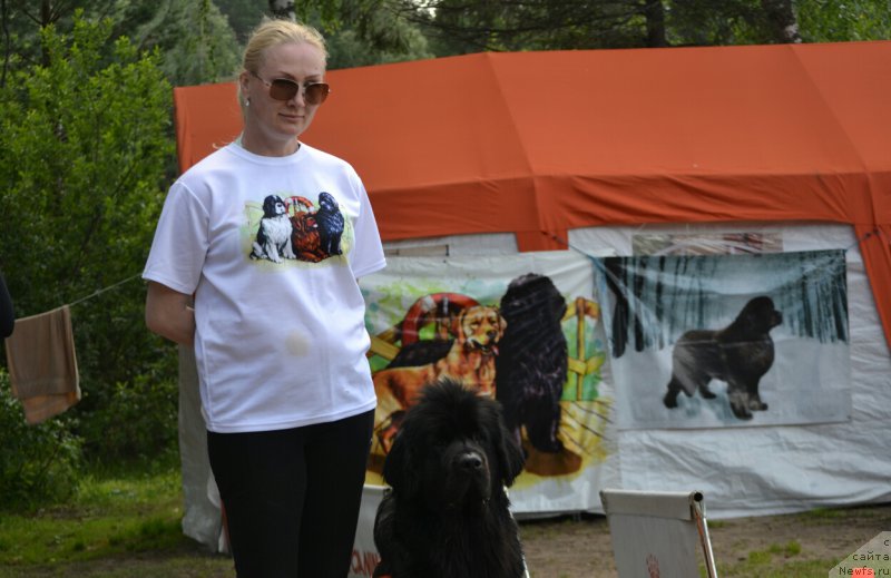 Фотография № 187687