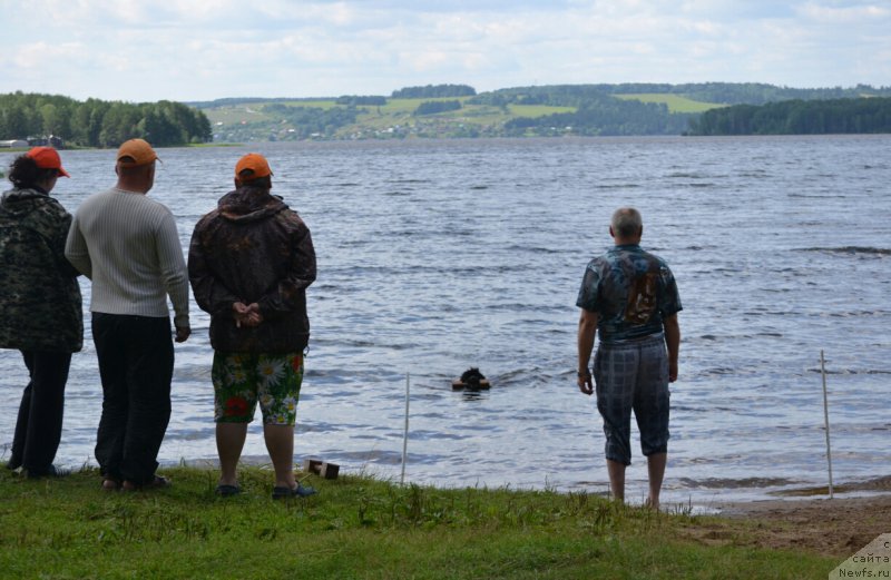 Фотография № 187691