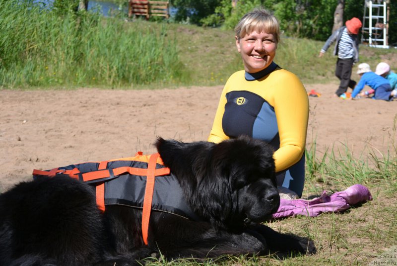 Фотография № 187694